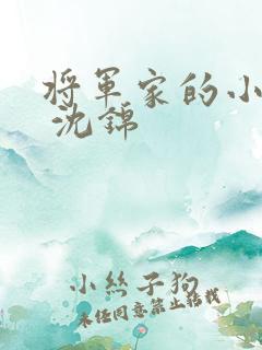 将军家的小娘子 沈锦