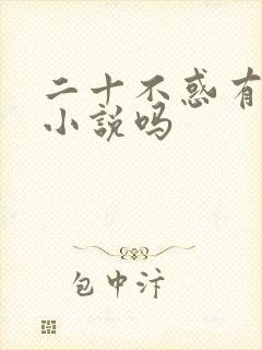 二十不惑有原著小说吗