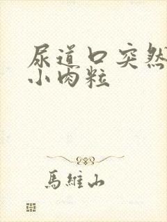 尿道口突然长了小肉粒