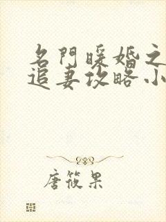 名门暖婚之权爷追妻攻略小说最新