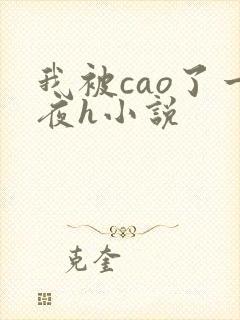 我被cao了一夜h小说