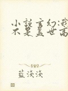 小说玄幻:我真不是盖世高人