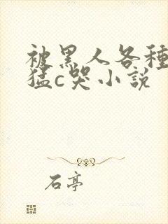 被黑人各种姿势猛c哭小说