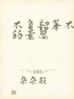 不负韶华不负卿的意思