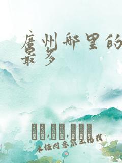 广州哪里的黑人最多