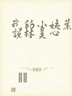 我的小姨叶凡小说林美心