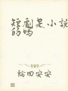 短剧是小说改编的吗