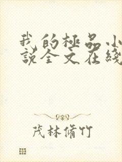 我的极品小姨小说全文在线阅读