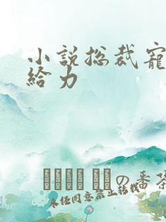 小说总裁宠妻太给力