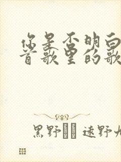 你是否明白是哪首歌里的歌词