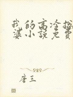 我的高冷总裁老婆小说免费