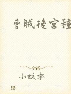 曹贼后宫种马文