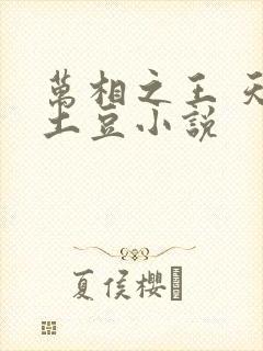 万相之王 天蚕土豆小说