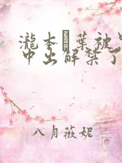 泷本雫叶被黑人中出解禁了吗