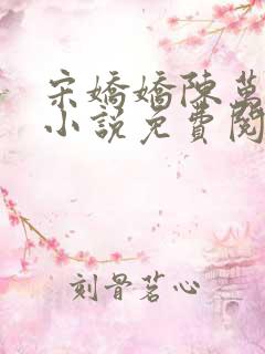 宋娇娇陈万里的小说免费阅读