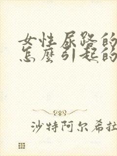 女性尿路的感染怎么引起的