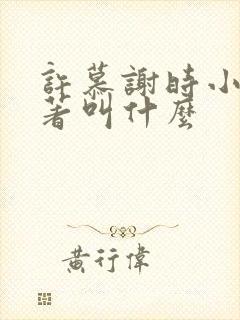 许慕谢时小说原著叫什么