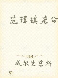 范玮琪老公黑人