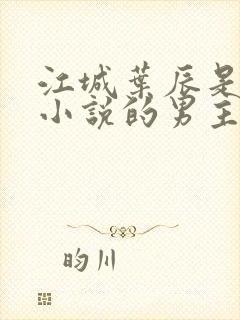 江城叶辰是哪部小说的男主角