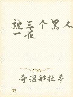 被三个黑人操了一夜