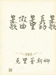 是假是真是哪首歌曲里的歌词