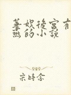 华娱后宫有霍思燕的小说