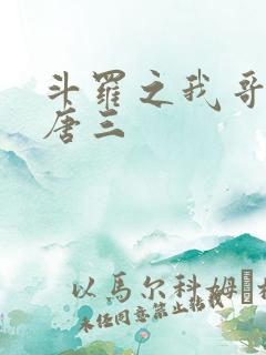 斗罗之我哥哥是唐三