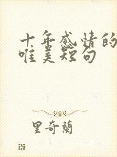 十年感情的句子唯美短句