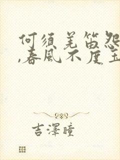 何须羌笛怨杨柳,春风不度玉门关的意思