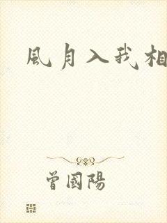 风月入我相思局