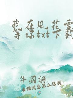 我在风花雪月里等你txt下载全本