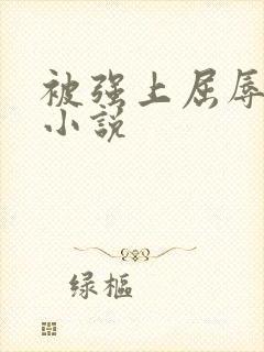 被强上屈辱少妇小说