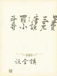 斗罗:唐三是我哥小说免费阅读