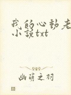 我的心动老板娘小说txt