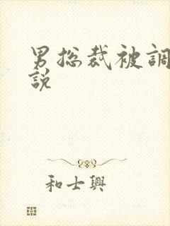 男总裁被调教小说