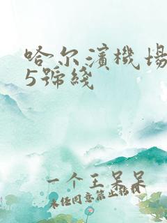 哈尔滨机场巴士5号线