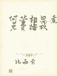 何苦相思煮余年免费播放