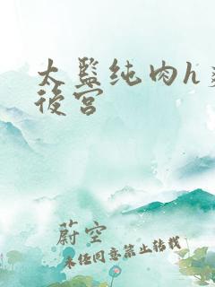 太监纯肉h爽文后宫