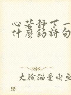 心若静下一句是什么的诗句