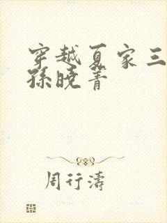 穿越夏家三千金孙晓菁