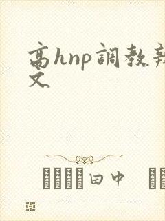 高hnp调教辣文