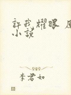 许我耀眼 原著小说