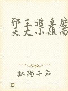 邪王追妻废材逆天大小姐南宫流云