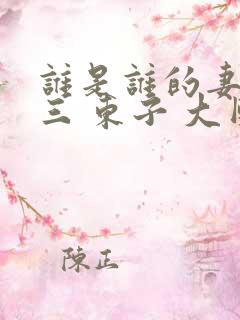 谁是谁的妻 陈三 东子 大团结小说