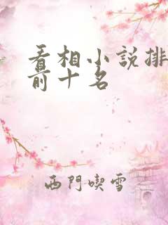 看相小说排行榜前十名