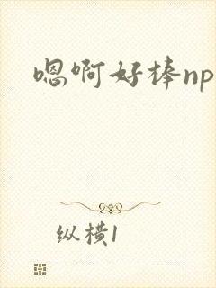 嗯啊好棒np
