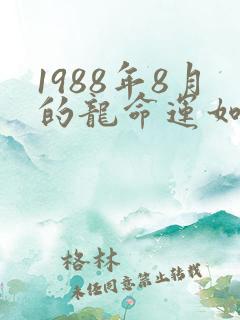 1988年8月的龙命运如何