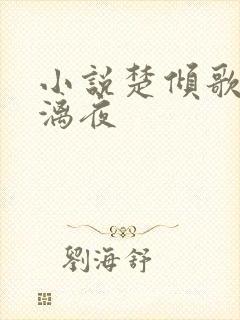 小说楚倾歌和风漓夜