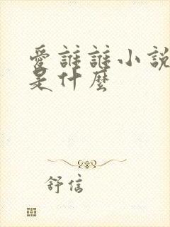 爱谁谁小说讲的是什么