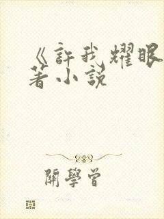 《许我耀眼》原著小说